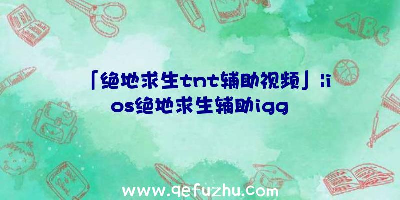 「绝地求生tnt辅助视频」|ios绝地求生辅助igg